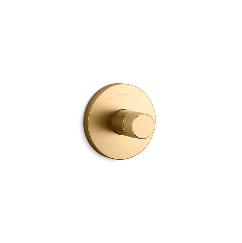 Kohler Components™ Rite-Temp® shower valve trim with Oyl handle