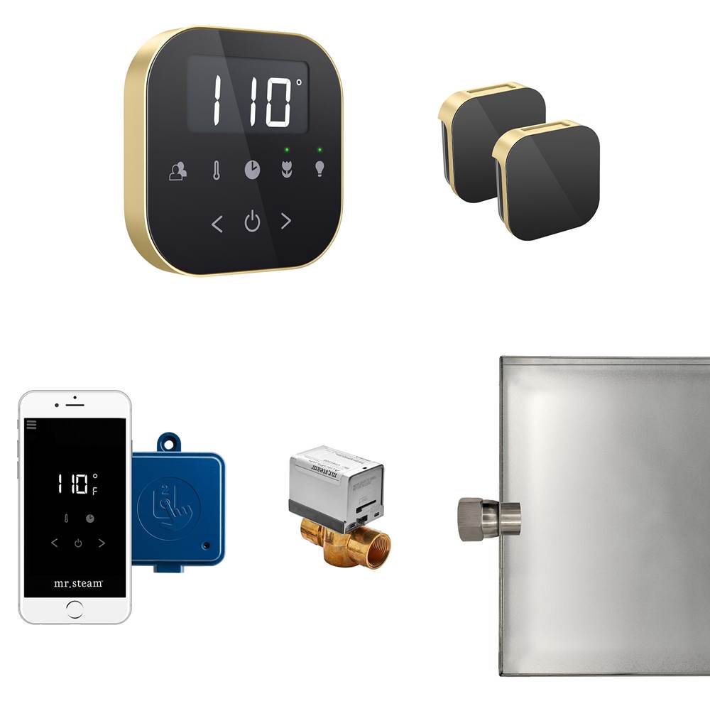 Mr. Steam AirButler Max Steam Shower Control Package with AirTempo Control and Aroma Glass SteamHead in Black Satin Brass