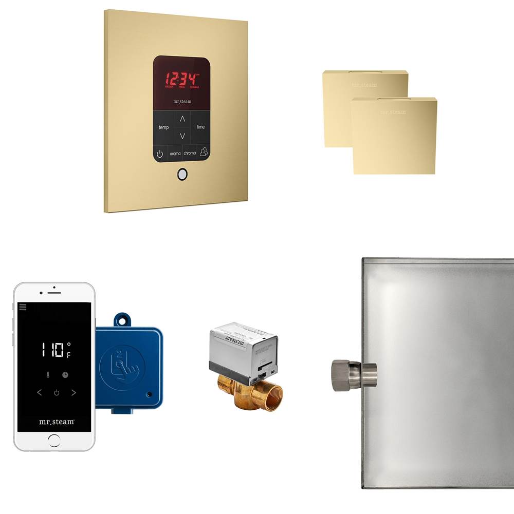 Mr. Steam Butler Max Steam Shower Control Package with iTempoPlus Control and Aroma Designer SteamHead in Square Satin Brass