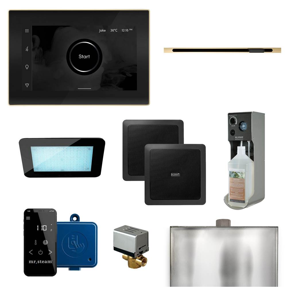 Mr. Steam XDream Linear Programmable Steam Generator Control Kit with iSteamX Control and Linear Steamhead in Black Polished Brass