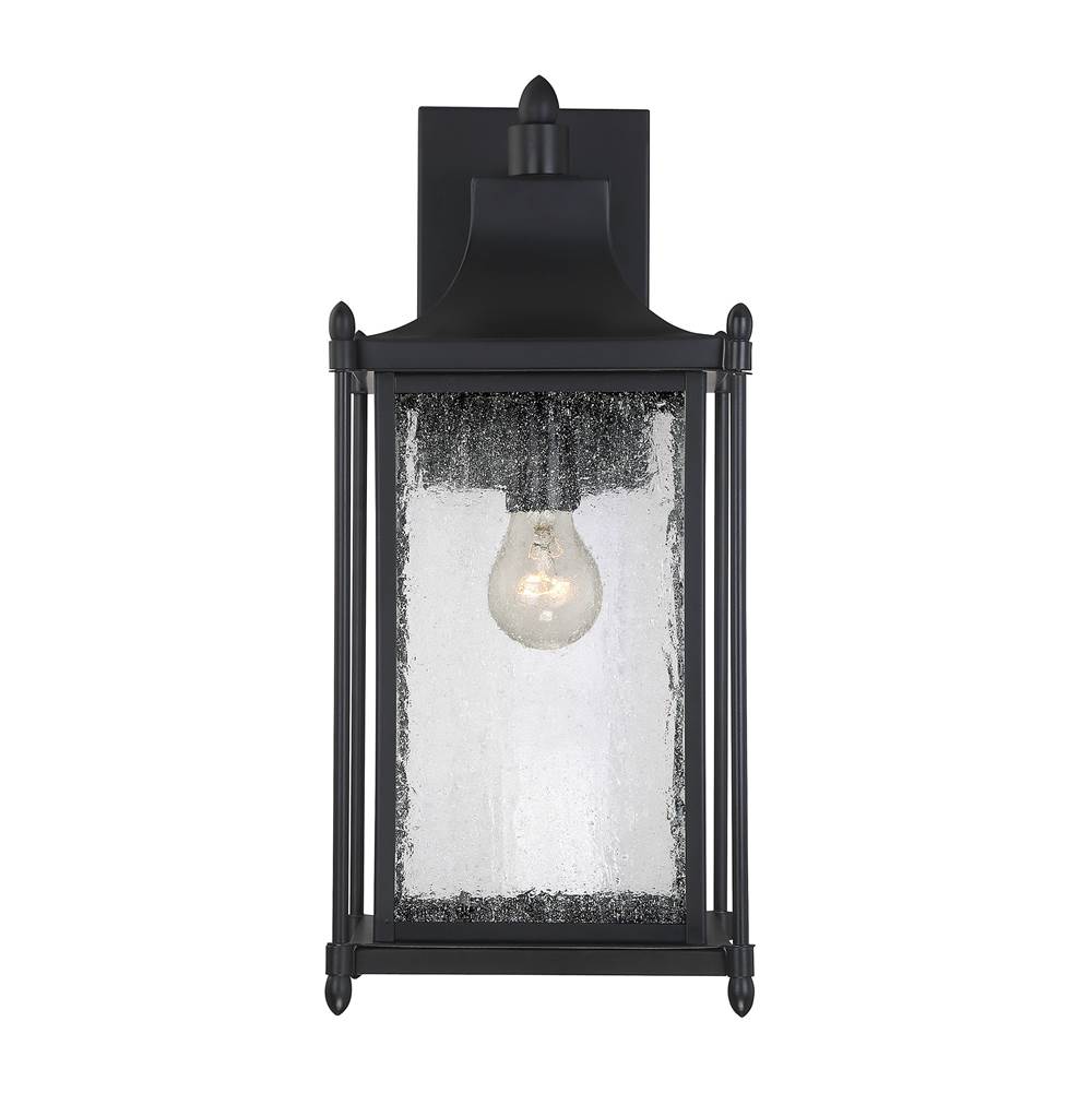 Savoy House Dunnmore 1-Light Outdoor Wall Lantern in Black