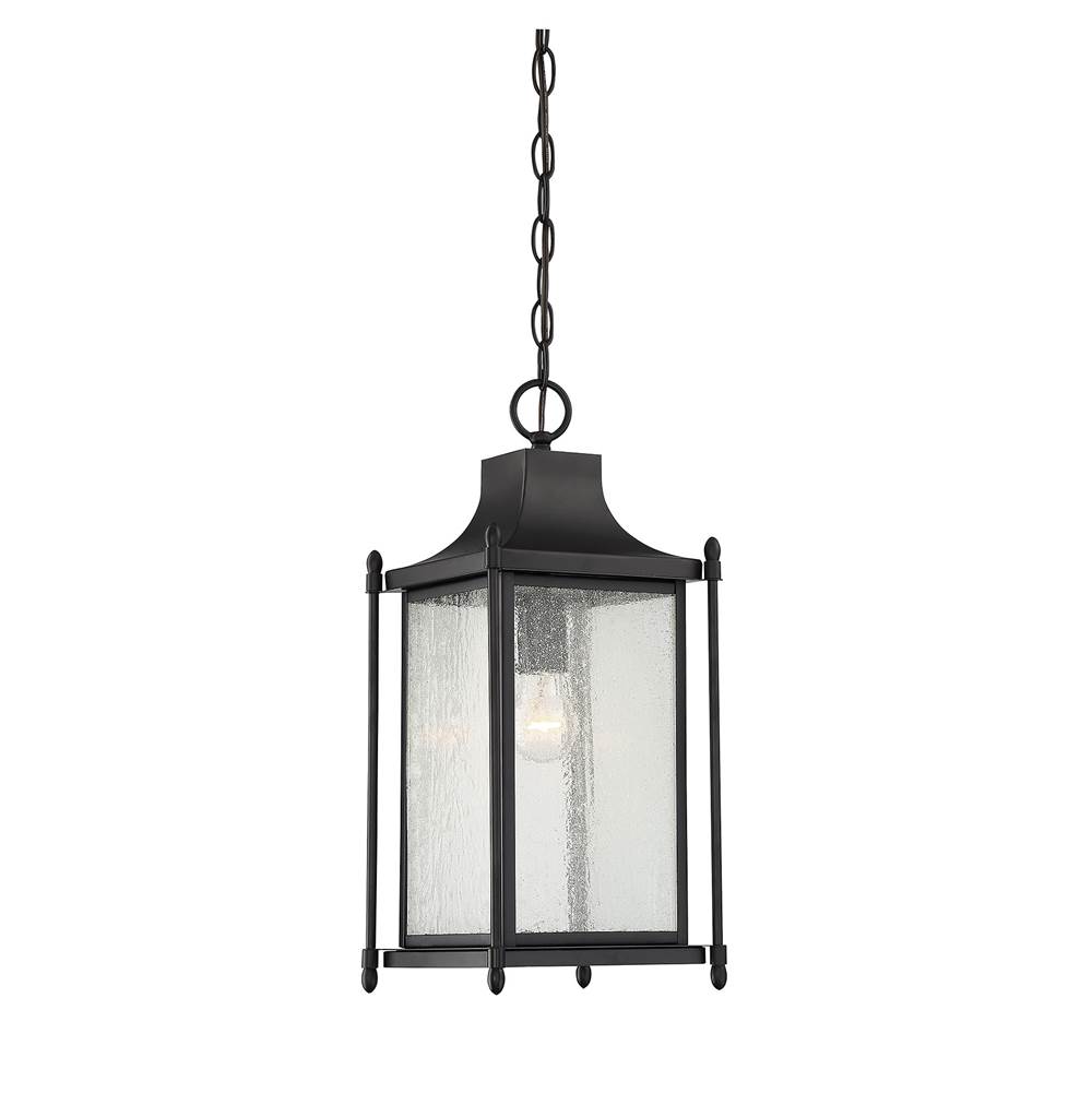 Savoy House Dunnmore 1-Light Outdoor Hanging Lantern in Black
